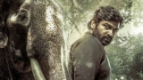 Muthu Engira Kaattaan OTT Release Date: When & Where To Watch Vijay Sethupathi Starrer Series | Muthu Engira Kaattaan OTT Release Date Platform | Muthu Engira Kaattaan OTT Platform | Muthu Engira Kaattaan OTT Release Date Time | Muthu Engira Kaattaan OTT | Muthu Engira Kaattaan OTT Release Date Jio Hotstar