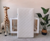 Win a Newton Crib Mattress