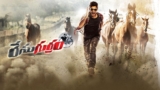 Race Gurram Re Release Day 1 Collections: రీ రిలీజ్‌లో రేసుగుర్రం హవా.. అల్లు అర్జున్ మూవీకి ఎన్ని కోట్లంటే? | Race Gurram4K Re-Release Day 1 Expected Box Office Collections Worldwide: Allu Arjun Starrer get good Number in Opening Day