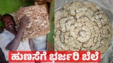 Tamarind Price: ಹುಣಸೆ ಬೆಲೆಯಲ್ಲಿ ಭರ್ಜರಿ ಹೆಚ್ಚಳ: ಇಂದಿನ ಬೆಲೆ ಎಷ್ಟಿದೆ, ಹುಣಸೆ ಹಣ್ಣು ಬೆಲೆ ಏರಿಕೆಗೆ ಕಾರಣವೇನು | Tamarind Prices Surge March 26 Today’s Rates and Key Reasons Behind the Sharp Rise Explained