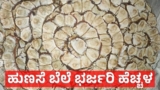 Tamarind Price Surge: ಹುಣಸೆ ಹಣ್ಣಿನ ಬೆಲೆ ಭರ್ಜರಿ ಹೆಚ್ಚಳ: ಹುಣಸೆ ಕೃಷಿಯಲ್ಲಿ ಈ 2 ಸಮಸ್ಯೆಗಳಿಂದ ಬೆಳೆಗಾರರಿಗೆ ಸಂಕಷ್ಟ | Tamarind Price Surge: Two Major Challenges in Tamarind Farming Putting Growers Under Pressure